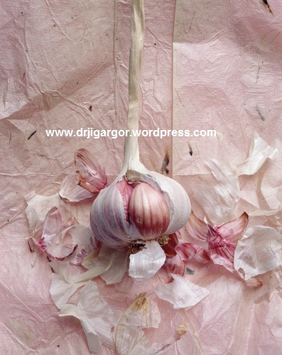 Garlic Ayurveda uses